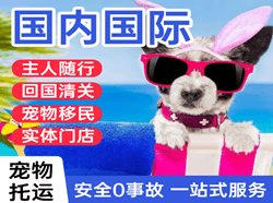 赤峰空运代理国际宠物托运 【国